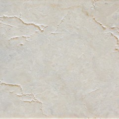 Shell Beige Antiqued Marble